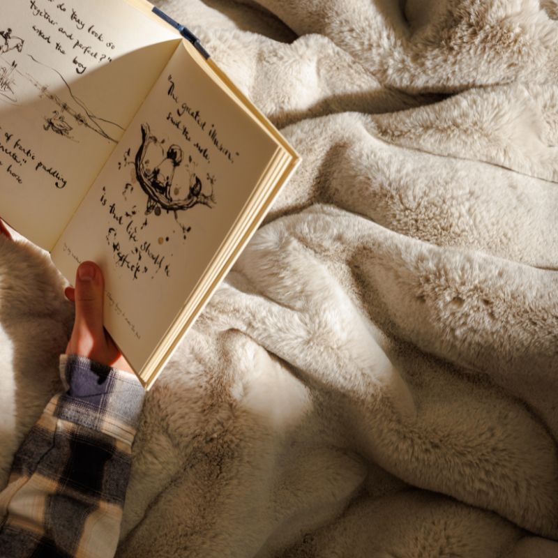 Blankets & Faux Fur