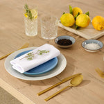 Carmel Essentials Design Napkin Porcelain White