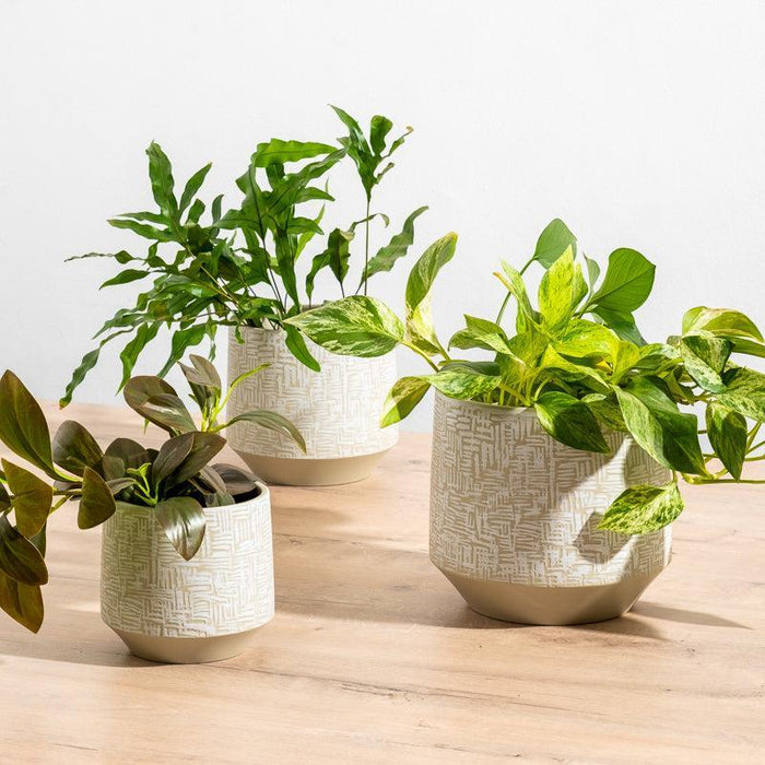 Ceramic Planter Etched - Taupe Criss Cross-Décor
