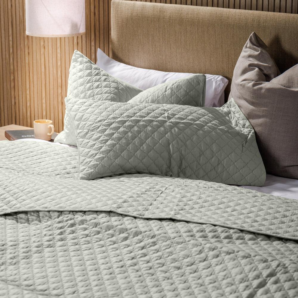 Clay Whisper Soft Premium Cotton Quilt Aquifer-Quilts & Comforters
