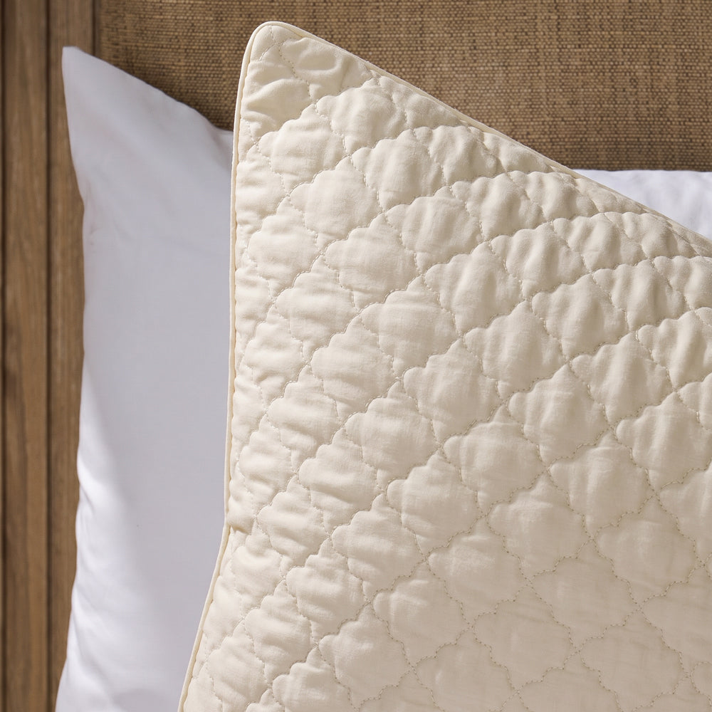 Clay Whisper Soft Premium Cotton Quilt Ivory-Quilts & Comforters