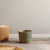 Home.Life Bulrush Cotton Lined Planter Forest Green