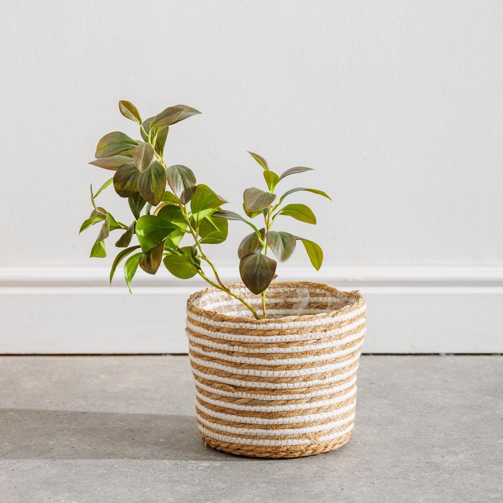 Home.life Bulrush Cotton Planter Lined Ivory-Planter