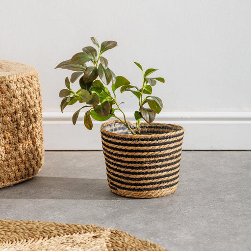 Home.life Bulrush Cotton Planter Lined Black-Planter