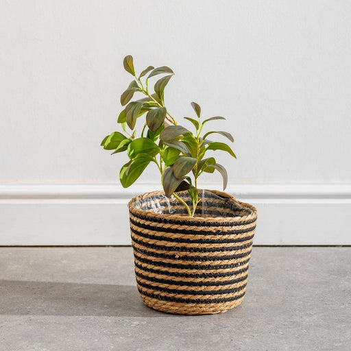 Home.life Bulrush Cotton Planter Lined Black-Planter