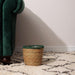 Bulrush Cotton-Edged Lined Planter - Fern-Planter