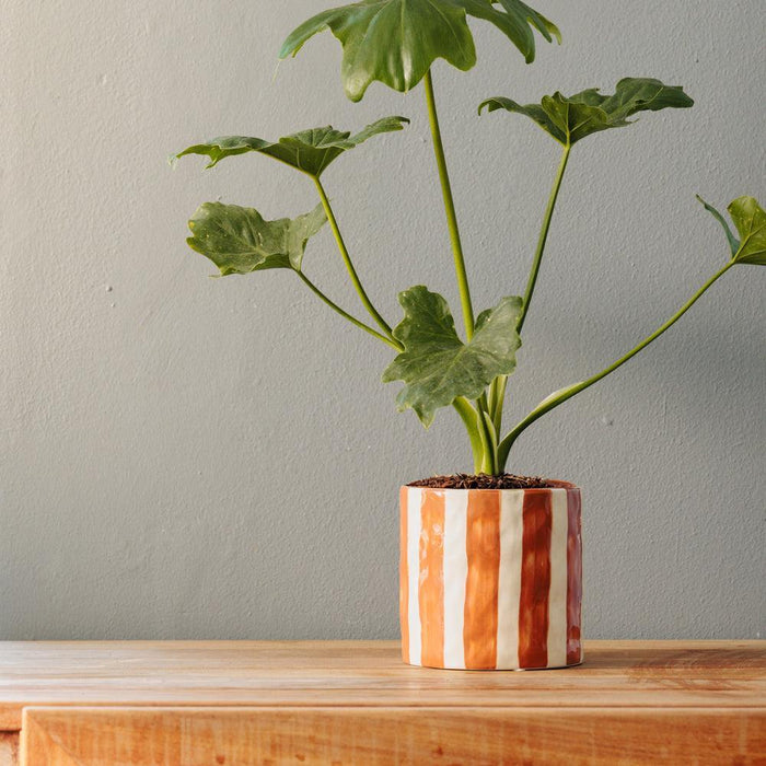 Home.Life Planter Natural Bold Stripe Autumn-Décor