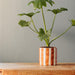 Home.Life Planter Natural Bold Stripe Autumn-Décor