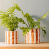 Home.Life Planter Natural Bold Stripe Autumn