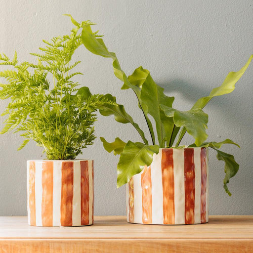 Home.Life Planter Natural Bold Stripe Autumn-Décor