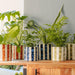 Home.Life Planter Natural Bold Stripe Forest-Décor