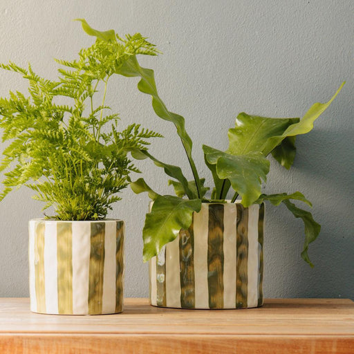 Home.Life Planter Natural Bold Stripe Forest-Décor