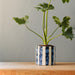 Home.Life Planter Natural Bold Stripe Ocean Bay-Décor