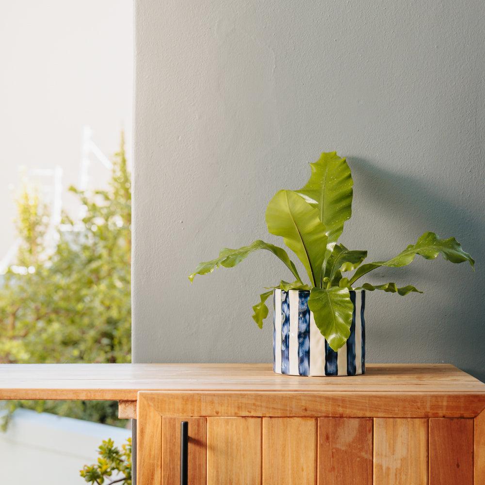 Home.Life Planter Natural Bold Stripe Ocean Bay-DÃ©cor