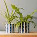 Home.Life Planter Natural Bold Stripe Ocean Bay-Décor
