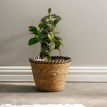 Home.Life Rush Rimmed Lined Planter Basket Black