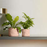 Home.Life Shaped Planter Organic Blush