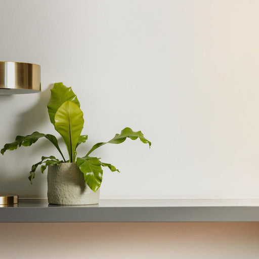 Home.Life Shaped Planter Organic Dusty Green-Décor