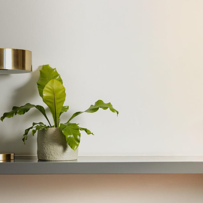 Home.Life Shaped Planter Organic Dusty Green-Décor