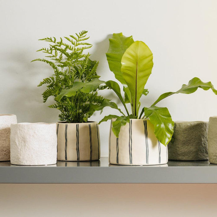 Home.Life Shaped Planter Organic Dusty Green-Décor