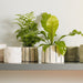 Home.Life Shaped Planter Organic Dusty Green-Décor