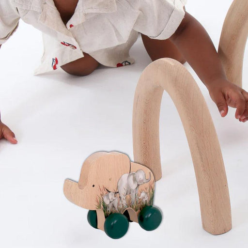 On Safari Elephant Push Toy-