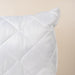 Quilted Hollow Puff Pillow Continental-Pillows