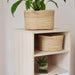 Stella Cabinet